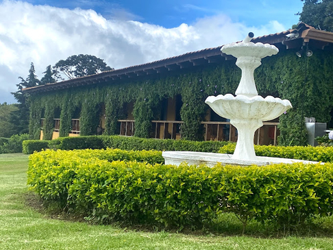 Slider image (7) Ananta Emotional Rehab